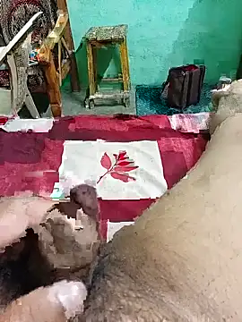Playbo100's Live XXX Chat