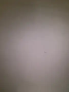 dalou3a22's Live XXX Chat