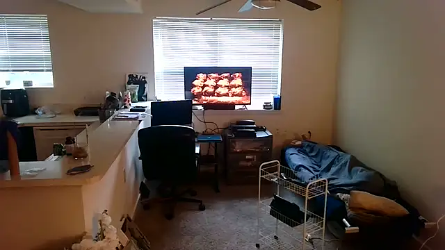 Q1357q Pertunjukan Webcam