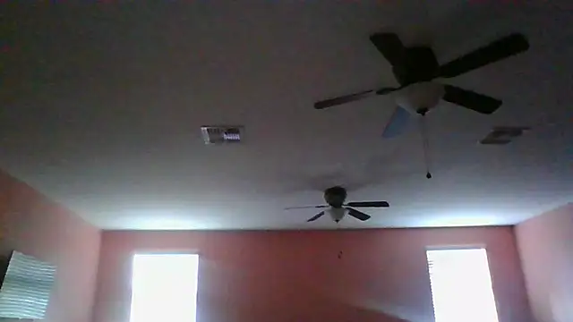 Show webcam de dracogotti