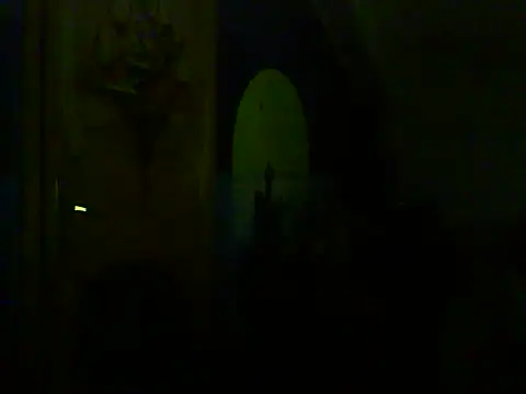 Webkamerová show Dejanaceking