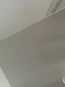 archi9999 live XXX chat