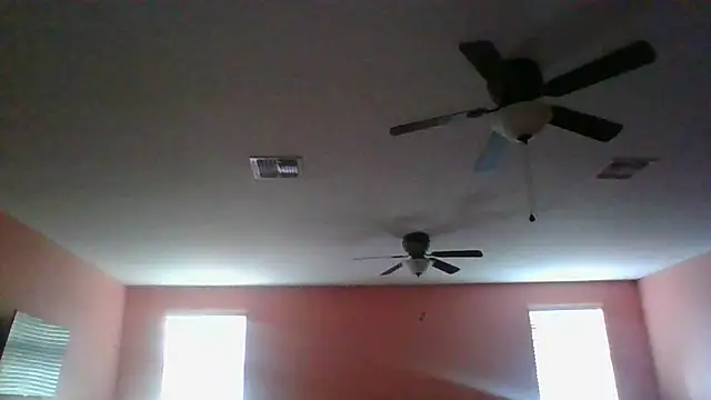dracogotti's Webcam Show