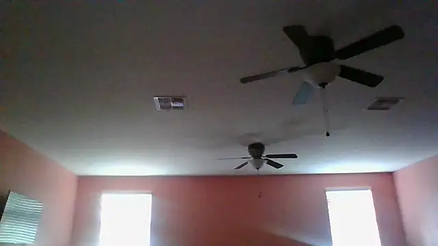 dracogotti's Webcam Show