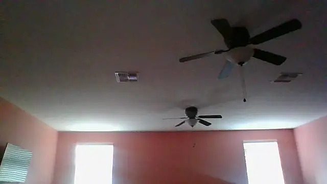 Show Webcam de dracogotti