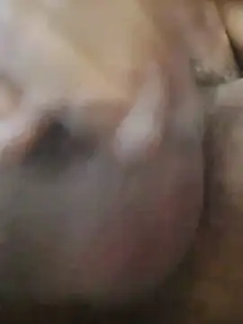 Noscay Live XXX-Chat