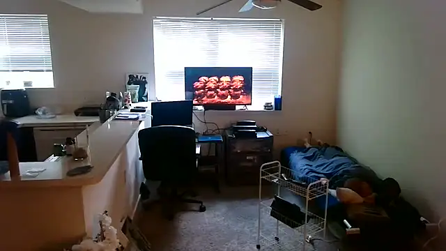 Q1357q Webcam-Show