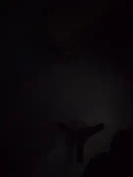 subhjann12n Webbikameraesitys