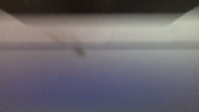 oktober1993 Pertunjukan Webcam
