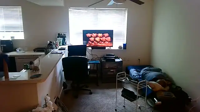 Q1357q's Webcam Show