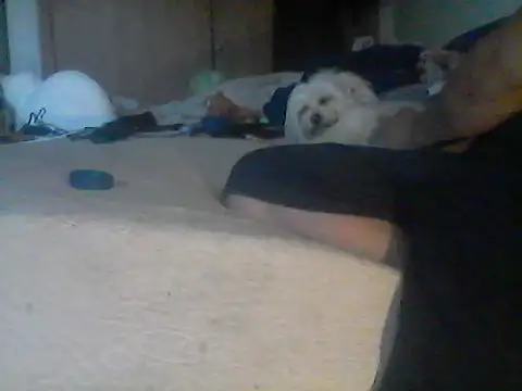 Chat XXX en directo de Silencio26