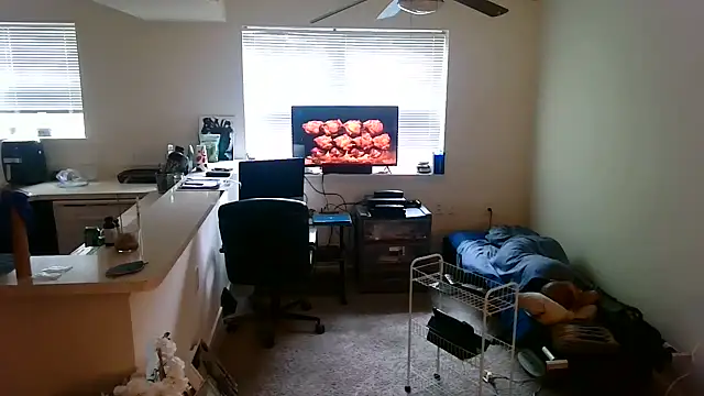 Q1357q Webcam Show