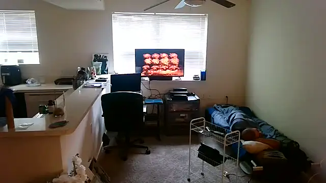 Q1357q Show Webcam