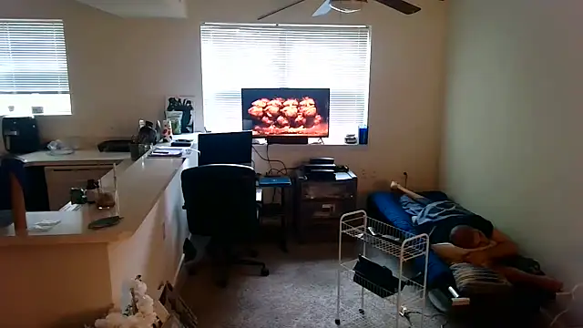 Q1357q Webcam show