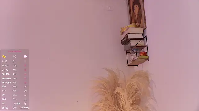 VicenteFerrer 现场XXX聊天
