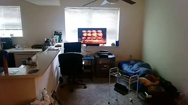 Q1357q Show Webcam