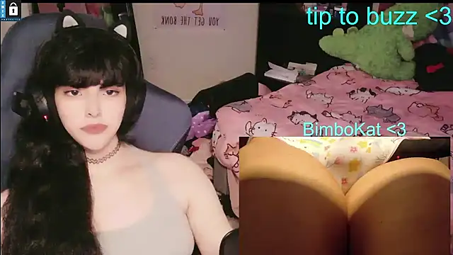 Chat +18 de BimboCat ao vivo