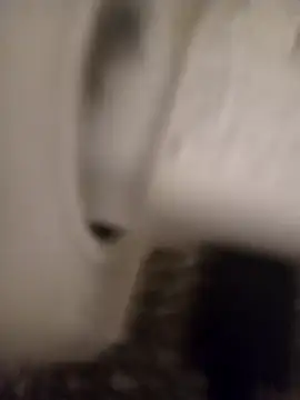 arouane XXX чат на живо