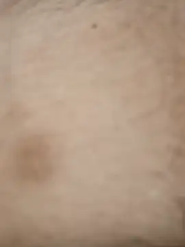batista_7171 XXX чат на живо