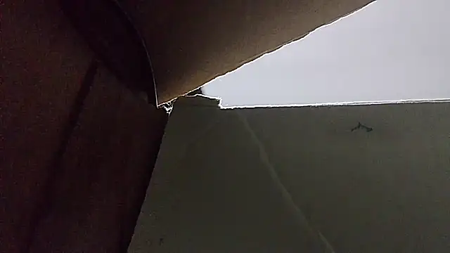 Tyyson03 Live XXX-chat
