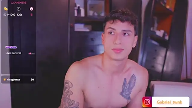 دردشة I_Gabriel الجنسية المباشرة