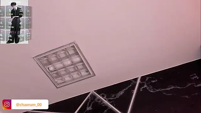 AerumChae Live XXX Chat