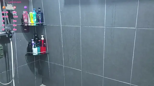 Show webcam de koreanboy2341