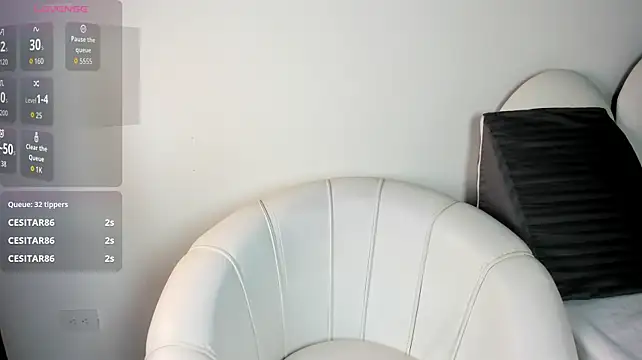 Show webcam de dennis_ford