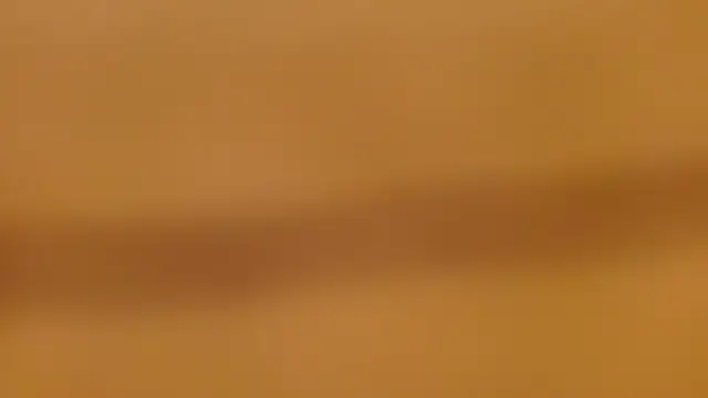leaxSTAR Live XXX-chat