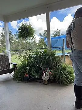 Bigcountrysmoker13 Live XXX-chat
