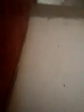 XXX chat uživo modela xandra252