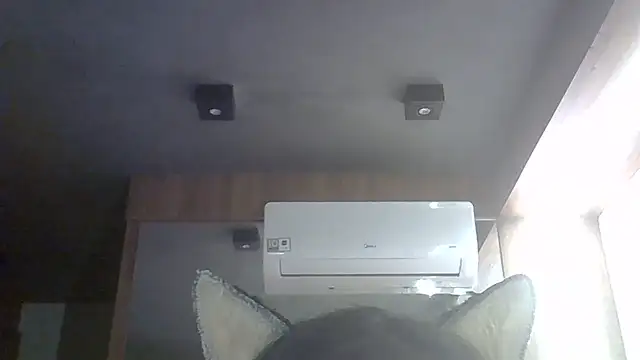 Show de webcam de SkinnyKitten
