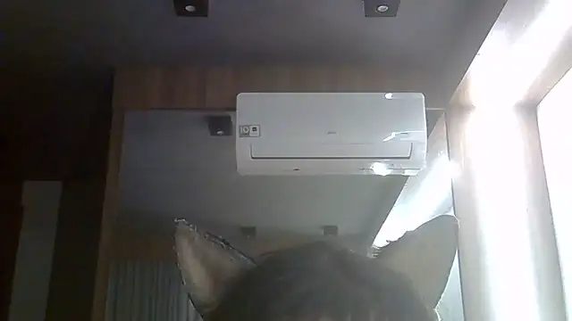 SkinnyKitten Webcam-Show