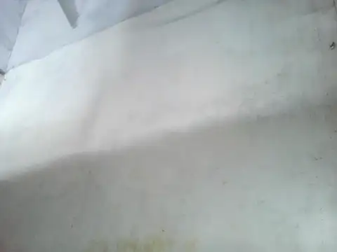 star_ass 라이브 XXX 채팅