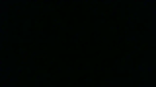 SamuelTal Live XXX-chat