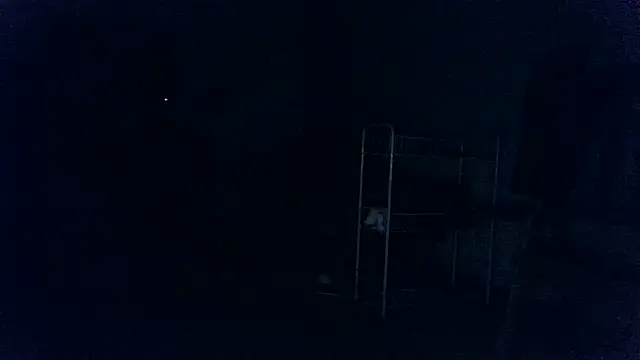 Show webcam de Q1357q