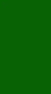 chriss13fc – webcam-show