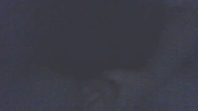 emr077 webcam show