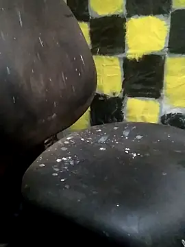 Wero4200 Show in webcam