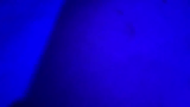 XXX chat uživo modela HodgeVibes