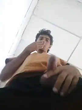 Show webcam de Noscay