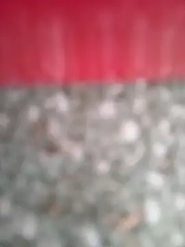 Chat XXX ao vivo de arouane
