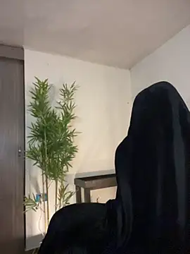 FreszX 现场XXX聊天