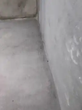 Chat XXX ao vivo de Juliano69xv