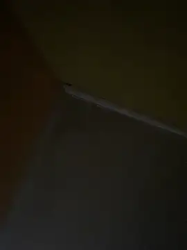 Neguimhhh – Naživo XXX chat