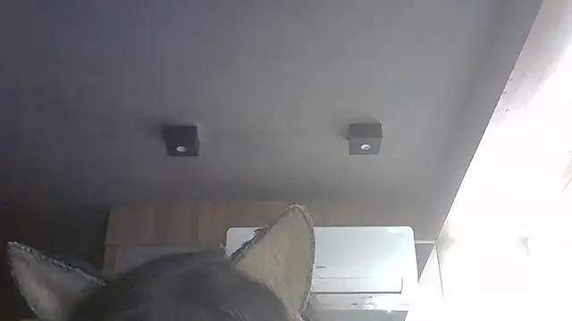 SkinnyKittenn Live XXX chat