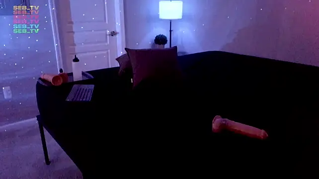 seb_tv Chat XXX live