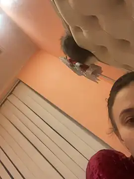 Czat XXX na żywo – Flossy_Vettie