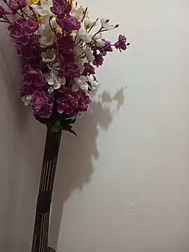 Chat XXX ao vivo de Tanha18