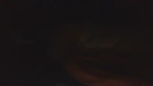 SHARPSkinhead live XXX chat